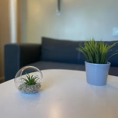 A Tropez Avec Terasse Face A La Apartman *